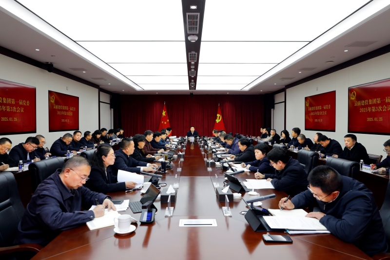 总党委召开2025年第3次会议