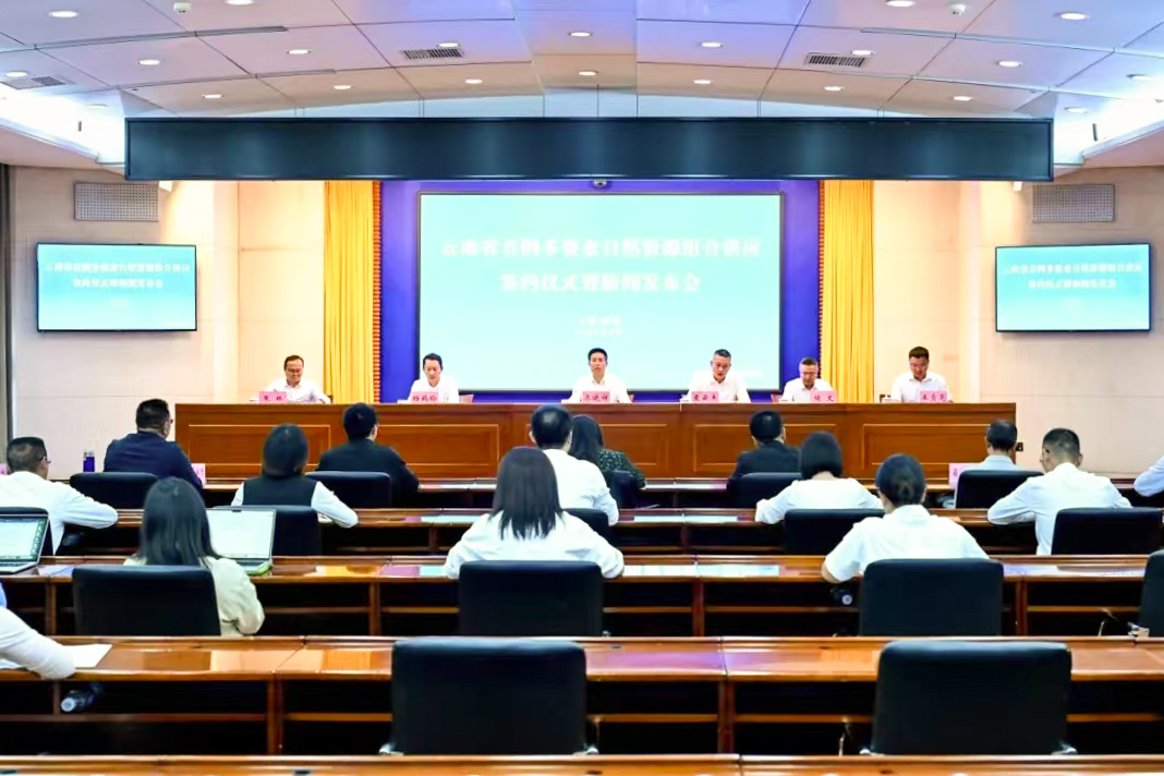 云南省首例多要素自然资源资产组合供应试点项目落地东风韵